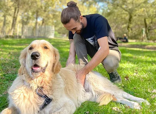 Mise en situation d'un étudiant avec un chien