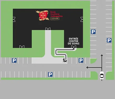 Plan d'accès à la clinique pédagogique avec situation des places de parking.