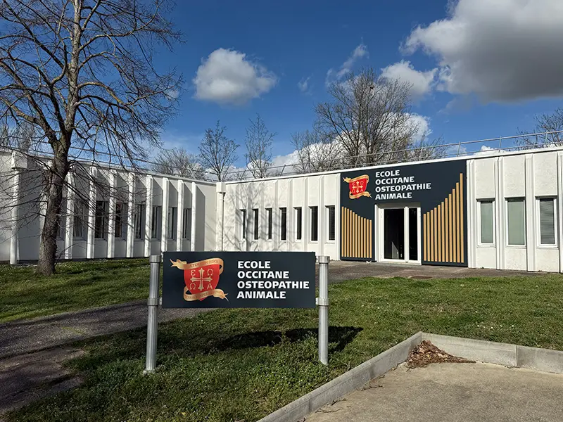 situation bâtiment école