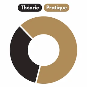 Répartition des parties théorie et pratique de la formation sur 5 ans