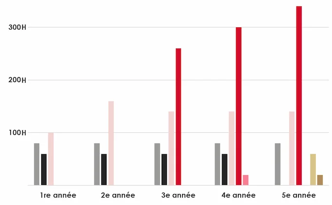 Préparation à l'examen, graphique montrant l'évolution des pratiques sur 5 ans de formation