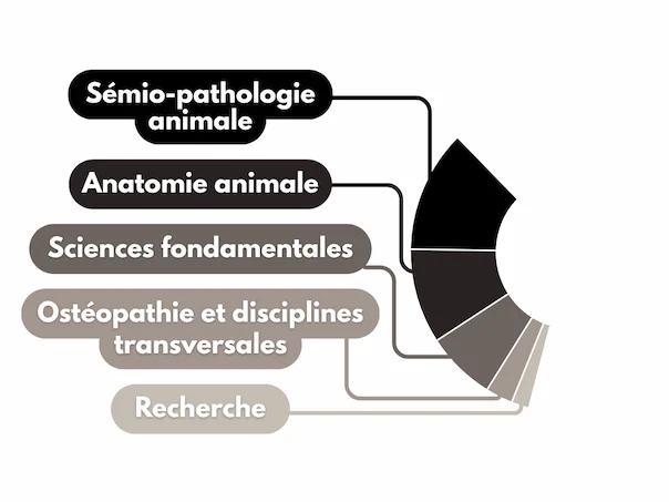 Répartition de la partie théorie de la formation sur 5 ans